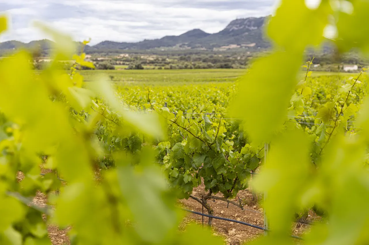 Bodega ecológica