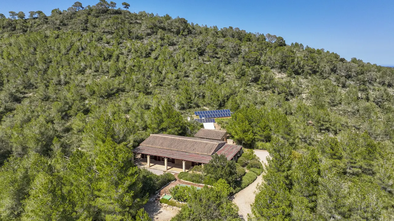 Aerial of a forest cabin