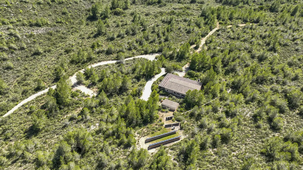 Aerial of a forest path to a lodge