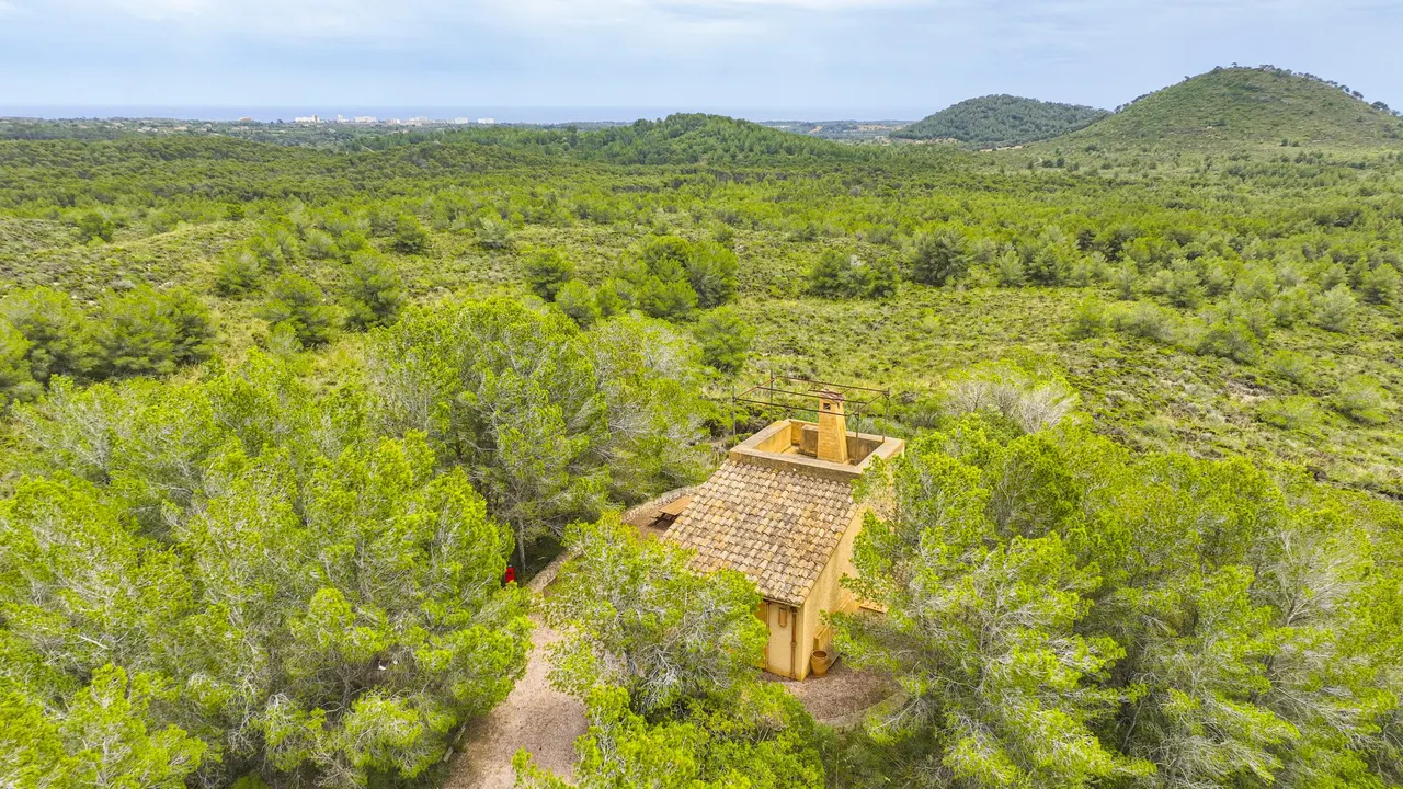 Aerial of a hidden cabin in pines