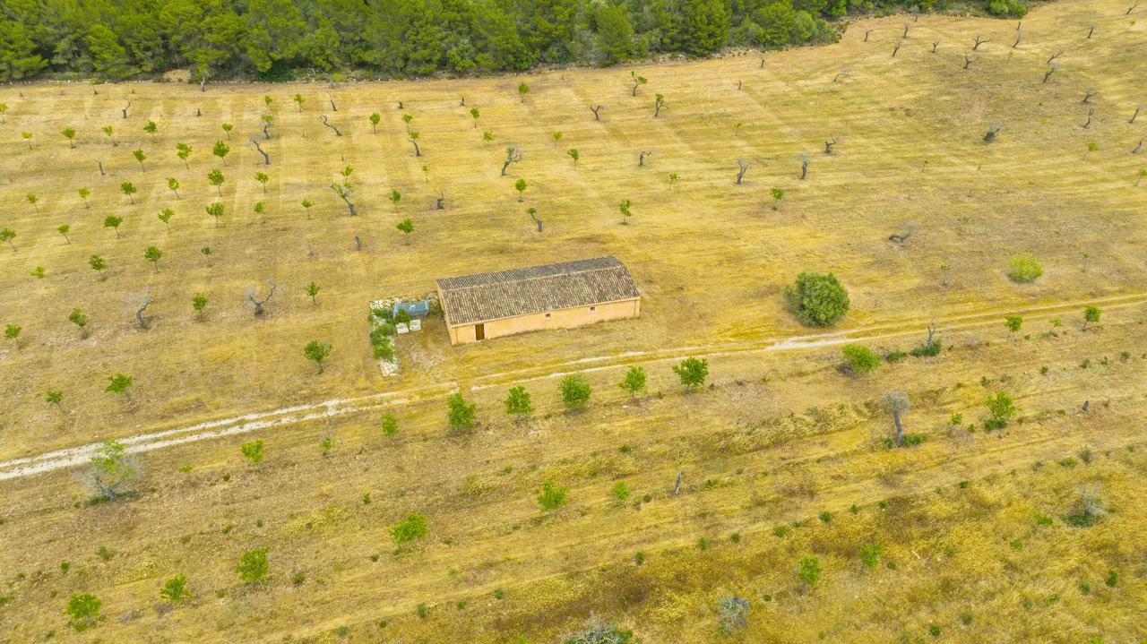 Aerial of a farmhouse in groves