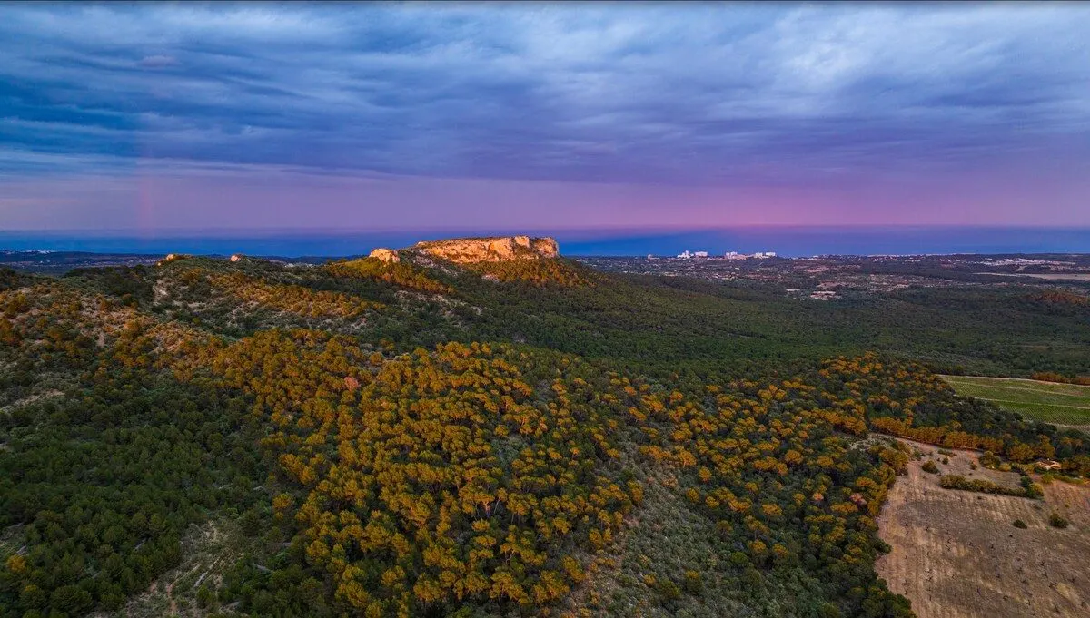 Encantadora casa de piedra natural con piscina privada, en plena reserva natural de pinos y viñedos.